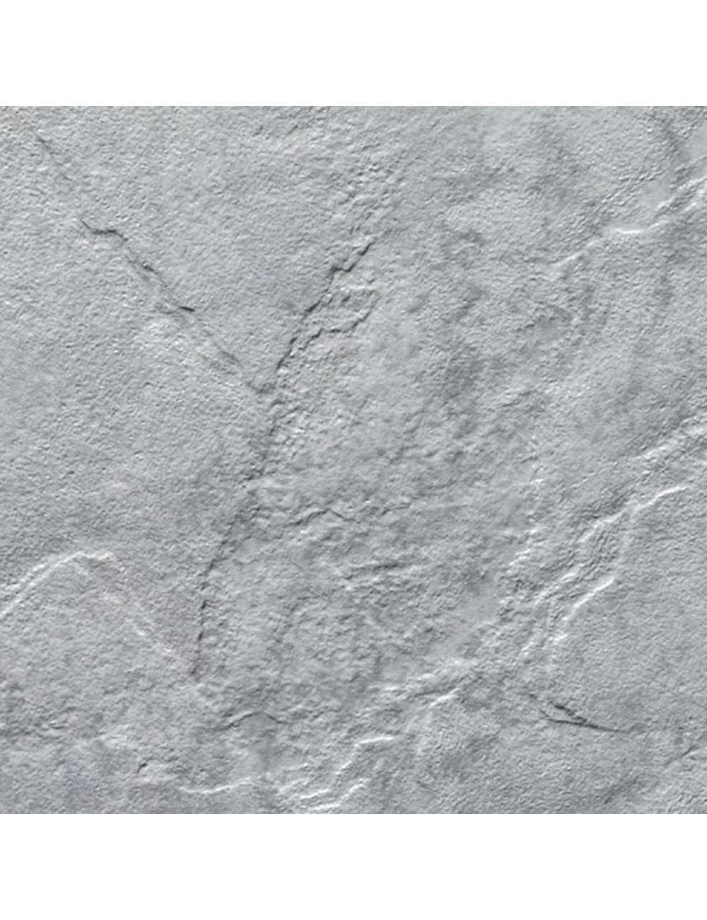 eternity grey surface detail eternity grey surface detail