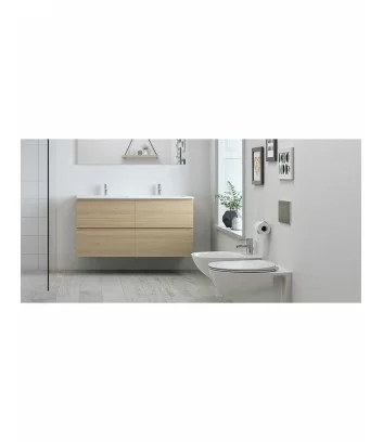 environment with white toilet flush and floor-standing rimless Morning line