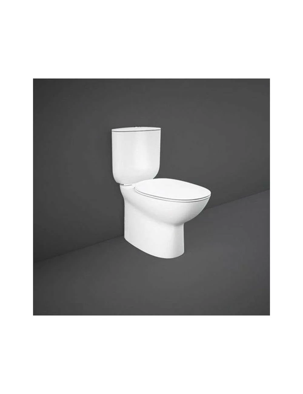 Toilet monobloc and flush Morning collection