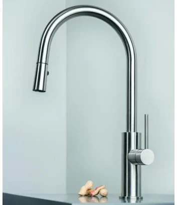 stainless steel kitchen tap with hand shower Dylan series