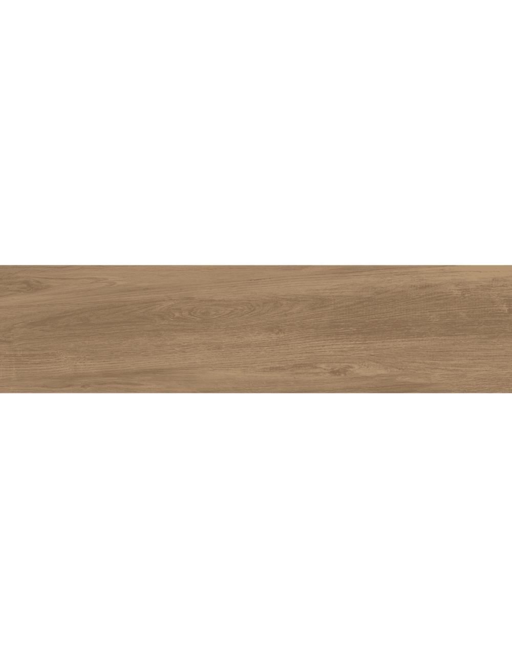 tundra terra surface detail