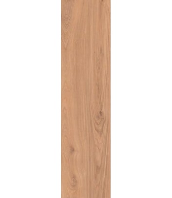 golden elisir surface detail