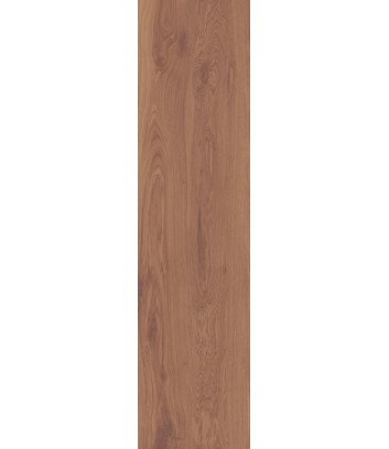 Brown Elisir surface detail