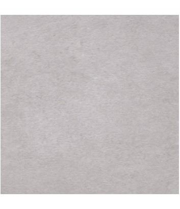 neutra dove grey natural rectified surface detail