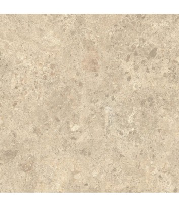 piastrella per esterno effetto pietra ambrosia linea nyra