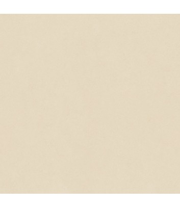 carreau d’extérieur effet pierre couleur beige ligne arenite