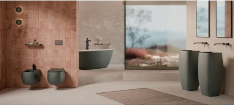 Coloured bathroom fixtures